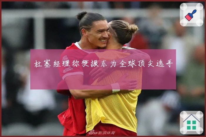 杜塞经理称樊振东为全球顶尖选手