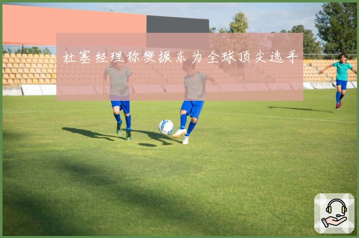 杜塞经理称樊振东为全球顶尖选手