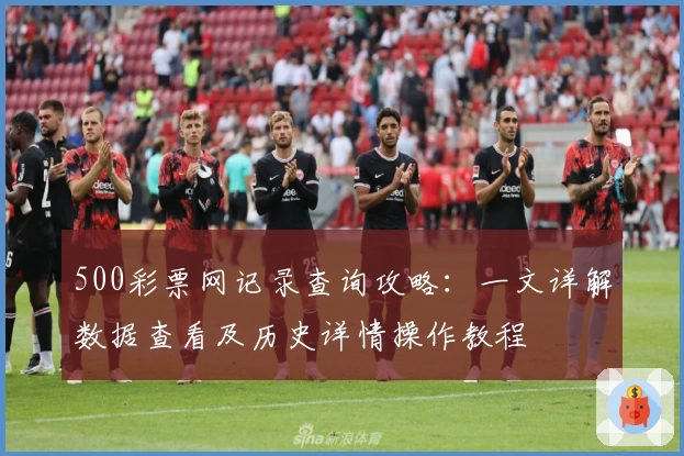 500彩票网记录查询攻略：一文详解数据查看及历史详情操作教程
